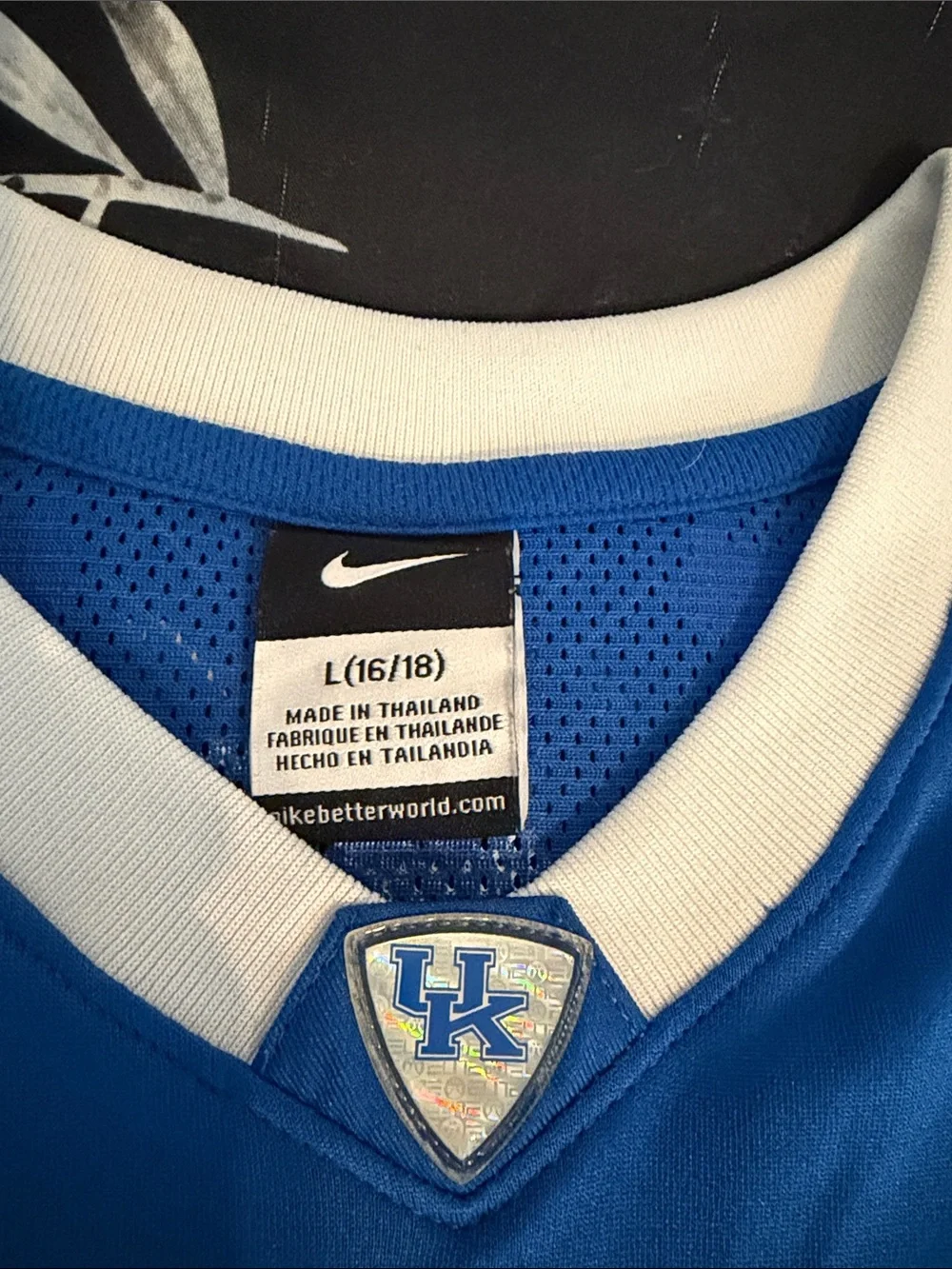 Nike Blue and White Kentucky Basketball Jersey #14